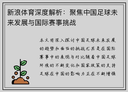 新浪体育深度解析：聚焦中国足球未来发展与国际赛事挑战